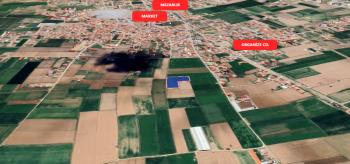 AFYON ÜÇOK EMLAKTAN SUSUZ - OSMANLI MEVKİNDE 5.000M² SATILIK TARLA 