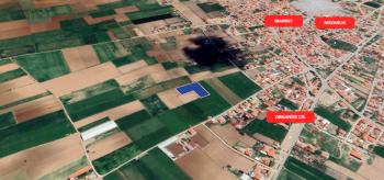 AFYON ÜÇOK EMLAKTAN SUSUZ - OSMANLI MEVKİNDE 5.000M² SATILIK TARLA 