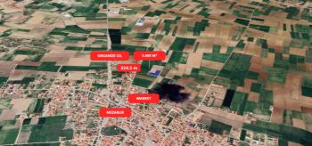 AFYON ÜÇOK EMLAKTAN SUSUZ - OSMANLI MEVKİNDE 5.000M² SATILIK TARLA 