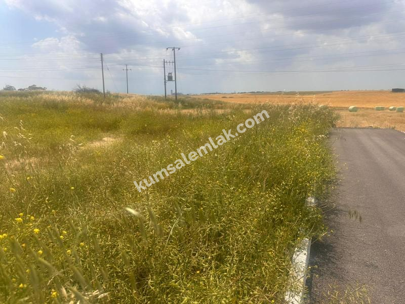 MERİÇKÖYDE SATILIK TÜRK MALI ARSALAR 