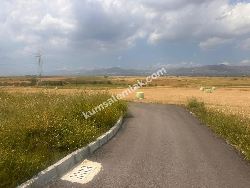 MERİÇKÖYDE SATILIK TÜRK MALI ARSALAR 