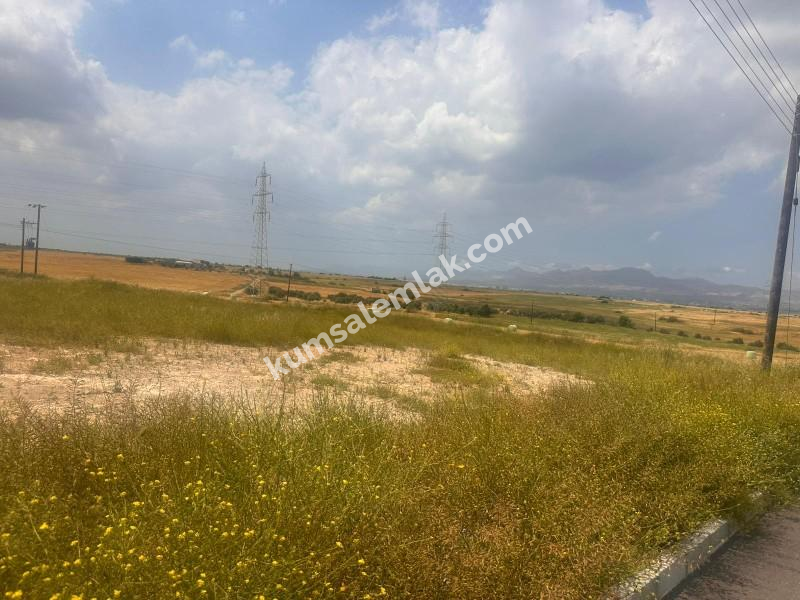 MERİÇKÖYDE SATILIK TÜRK MALI ARSALAR 