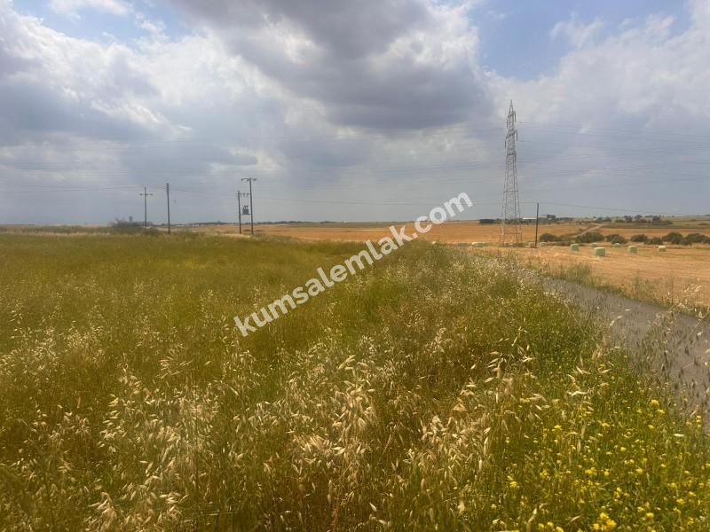 MERİÇKÖYDE SATILIK TÜRK MALI ARSALAR 