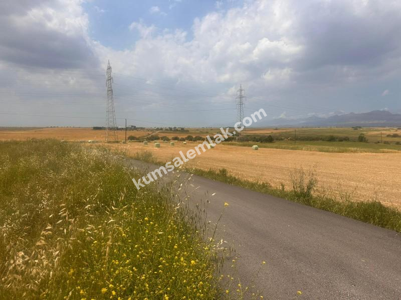 MERİÇKÖYDE SATILIK TÜRK MALI ARSALAR 
