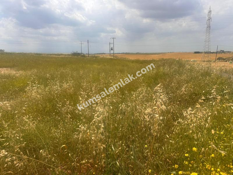 MERİÇKÖYDE SATILIK TÜRK MALI ARSALAR 