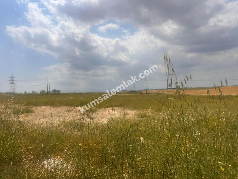 MERİÇKÖYDE SATILIK TÜRK MALI ARSALAR 