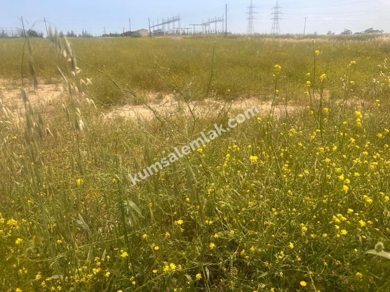 MERİÇKÖYDE SATILIK TÜRK MALI ARSALAR 