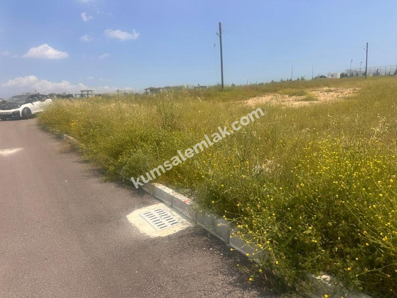 MERİÇKÖYDE SATILIK TÜRK MALI ARSALAR 
