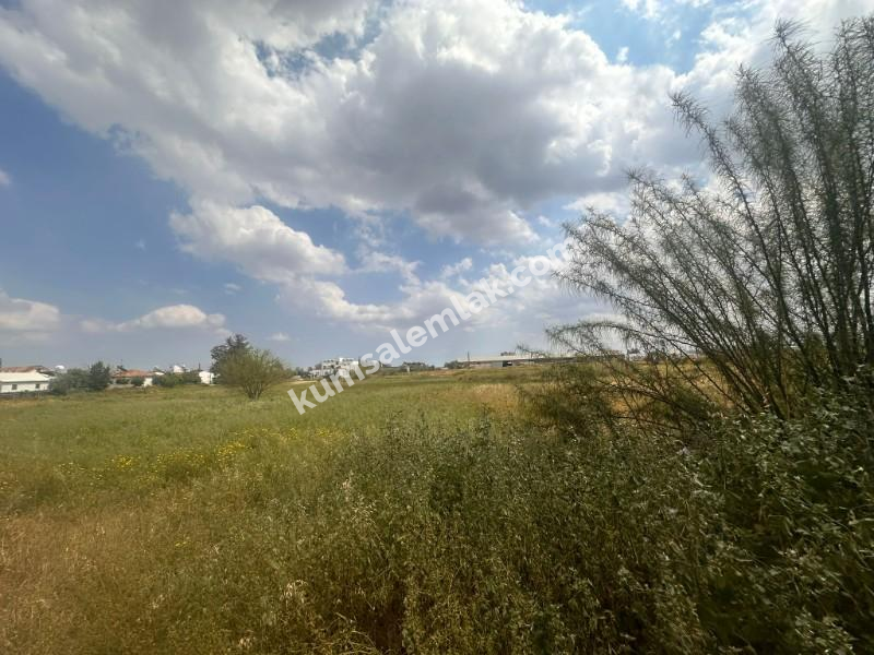 HASPOLAT'TA SATILIK ARSA 