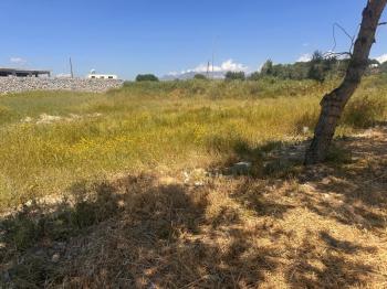 ALAYKÖYDE ANAYOLU ÜZERİ SATILIK ARSALAR