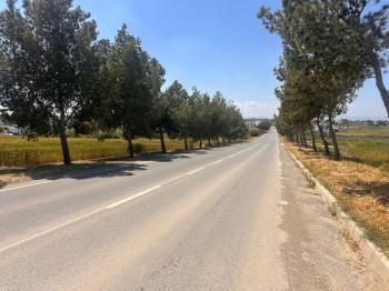 ALAYKÖYDE ANAYOLU ÜZERİ SATILIK ARSALAR