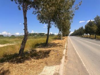 ALAYKÖYDE ANAYOLU ÜZERİ SATILIK ARSALAR