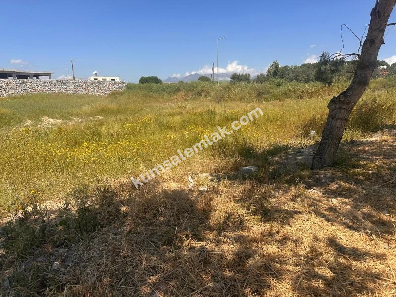 ALAYKÖYDE ANAYOLU ÜZERİ SATILIK ARSALAR