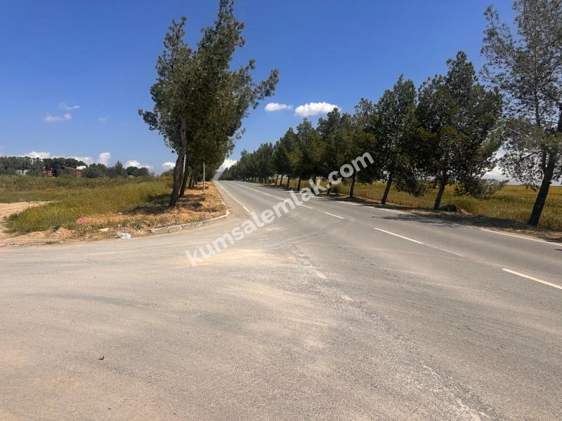ALAYKÖYDE ANAYOLU ÜZERİ SATILIK ARSALAR