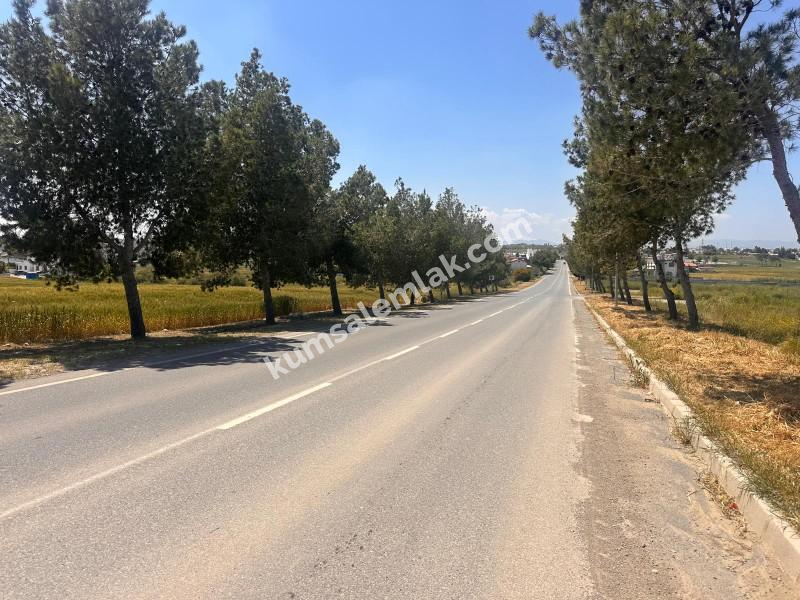 ALAYKÖYDE ANAYOLU ÜZERİ SATILIK ARSALAR