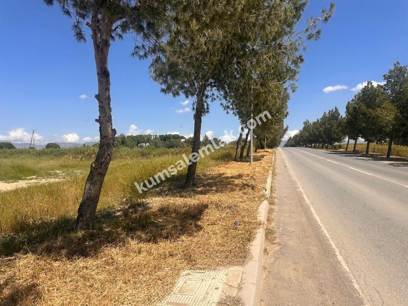ALAYKÖYDE ANAYOLU ÜZERİ SATILIK ARSALAR