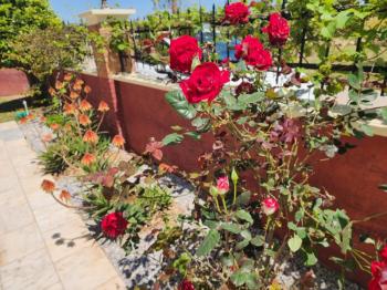 ÇAMLIK MAHALLESİ’NDE HAVUZLU SİTE İÇERİSİNDE 2+1 EŞYALI YÜKSEK ZEMİN KAT SATILIK DAİRE