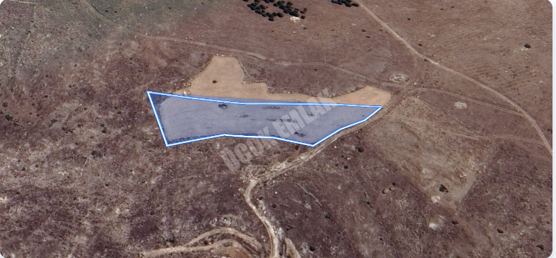 AFYON ÜÇOK EMLAKTAN SARIKÖYÜNDE 4000M² SATILIK TARLA 