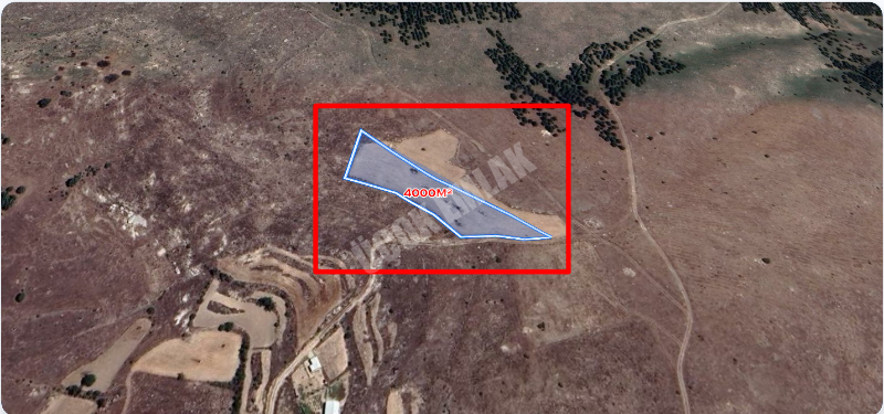 AFYON ÜÇOK EMLAKTAN SARIKÖYÜNDE 4000M² SATILIK TARLA 