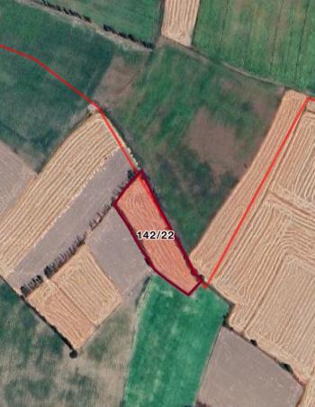 Güvenay - Çorum Celil Kırın da Satılık 1.733 m2 Tarla Hissesi 
