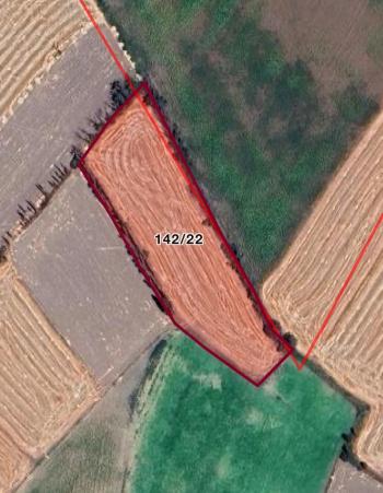 Güvenay - Çorum Celil Kırın da Satılık 1.733 m2 Tarla Hissesi 