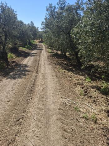  MUDANYA TALATBEY 'DE RESMİ YOLA CEPHE SATILIK 2 DÖNÜM ARAZİ