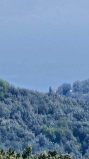  MUDANYA TİRİLYE ASFALTINA 50 METRE, 80 MT RESMİ YOLA CEPHE SATILIK 5 DÖNÜM ARAZİ