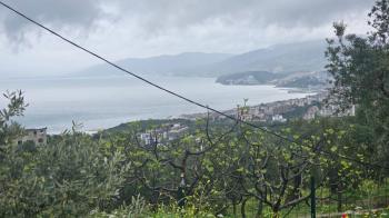 MUDANYA MERKEZE 1 KM MESAFEDE YATIRIMLIK 9 DÖNÜM ZEYTİNLİK