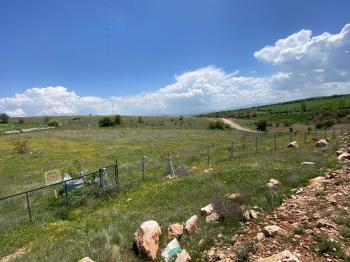 GÜVENAY - ÇORUM AŞAGISARAYLI KÖYÜ MEVKİNDE 5.097m2 SATILIK TARLA