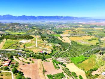 Didim Akköy'de Satılık 7400 M2 Tarla