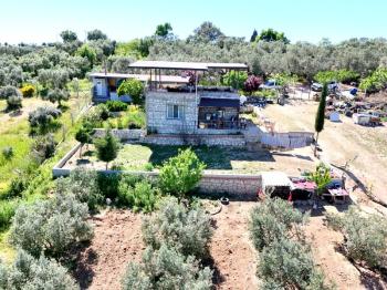 Didim Akköy'de Satılık 7400 M2 Tarla