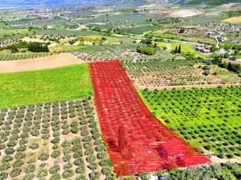 Didim Akköy'de Satılık 7400 M2 Tarla