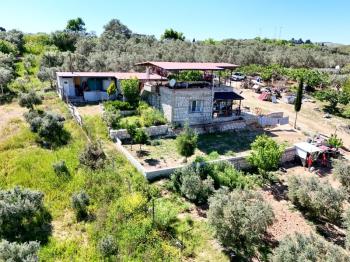 Didim Akköy'de Satılık 7400 M2 Tarla