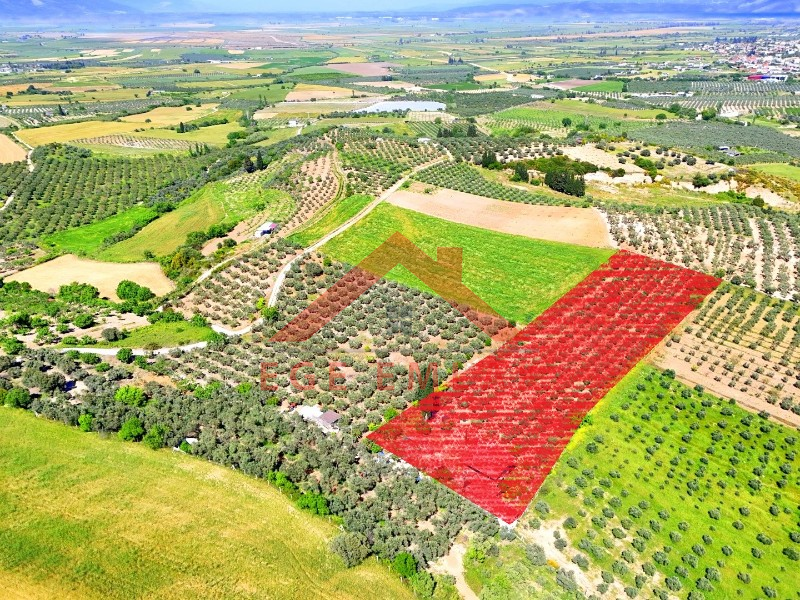 Didim Akköy'de Satılık 7400 M2 Tarla