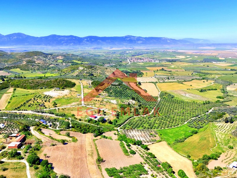 Didim Akköy'de Satılık 7400 M2 Tarla