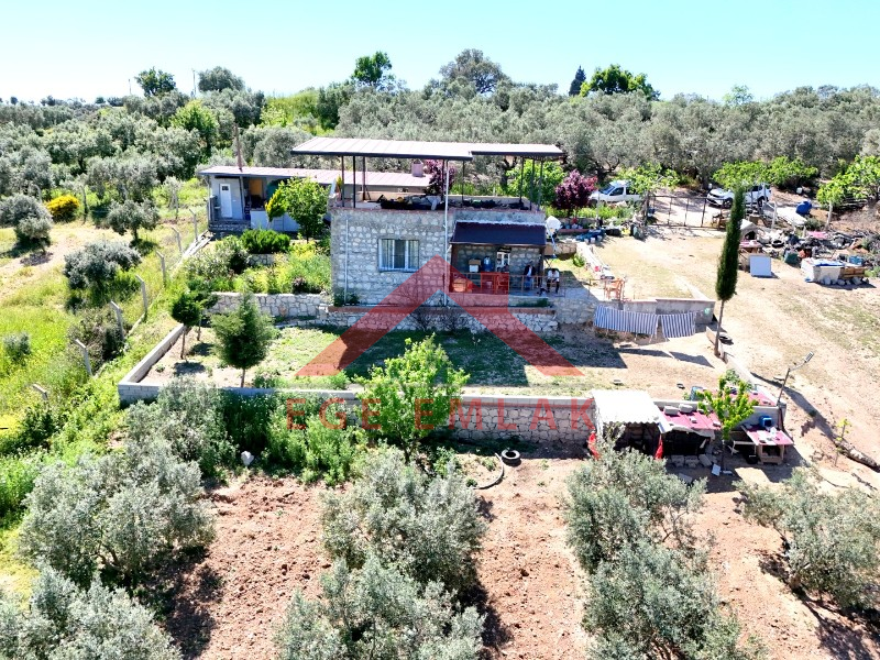Didim Akköy'de Satılık 7400 M2 Tarla