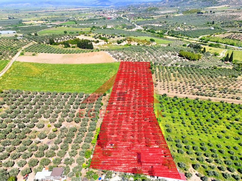 Didim Akköy'de Satılık 7400 M2 Tarla