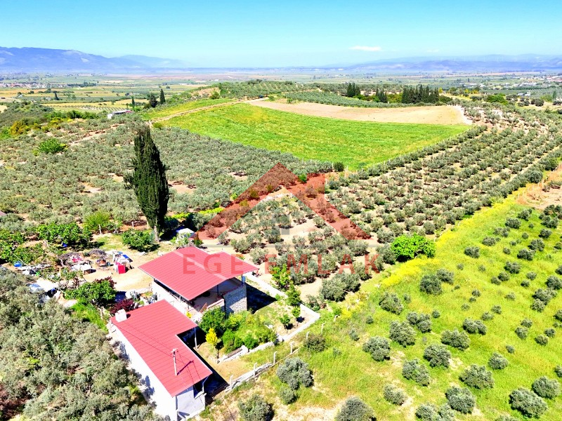 Didim Akköy'de Satılık 7400 M2 Tarla