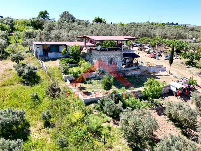 Didim Akköy'de Satılık 7400 M2 Tarla