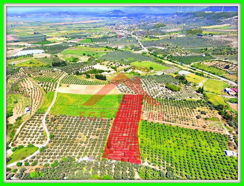 Didim Akköy'de Satılık 7400 M2 Tarla