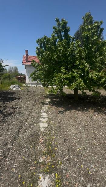 GÜVENAY - ÇORUM BOYRALI BAĞLARINDA 680  m2 SATILIK BAĞ 