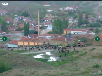 ANKARA HAYMANA AGIL VE EV TAPU SAHİBİ PERTA EMLAK ÜMİT TAHMAZ