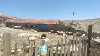 ANKARA HAYMANA AGIL VE EV TAPU SAHİBİ PERTA EMLAK ÜMİT TAHMAZ