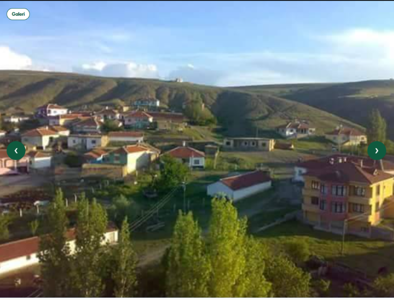 ANKARA HAYMANA AGIL VE EV TAPU SAHİBİ PERTA EMLAK ÜMİT TAHMAZ