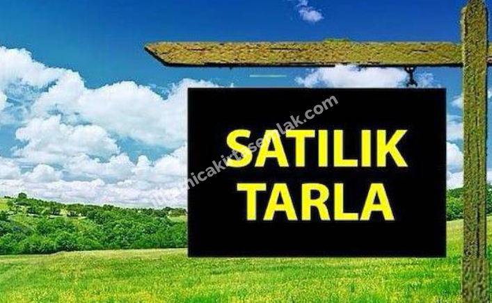 EDREMİT AYAZPINAR'DA SATILIK TARLA