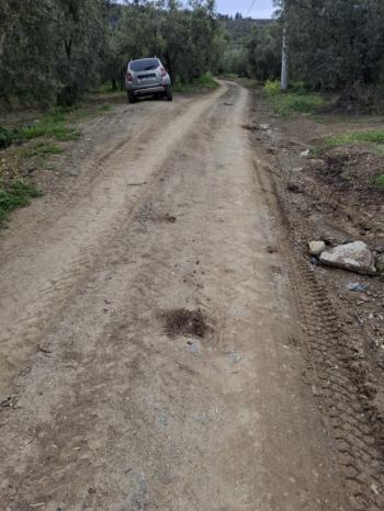  MUDANYA TALATBEY 'DE RESMİ YOLA CEPHE ELEKTRİK SU ÖNÜNDE SATILIK 5 DÖNÜM ARAZİ