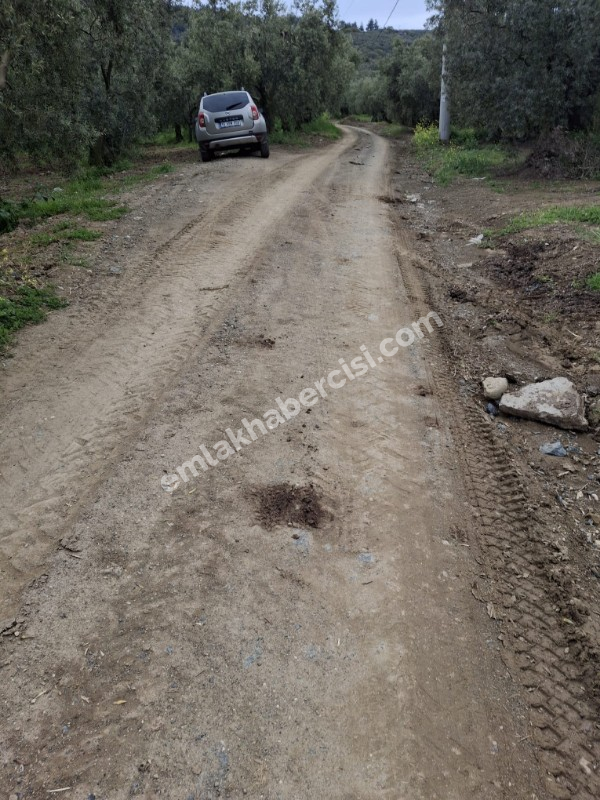  MUDANYA TALATBEY 'DE RESMİ YOLA CEPHE ELEKTRİK SU ÖNÜNDE SATILIK 5 DÖNÜM ARAZİ