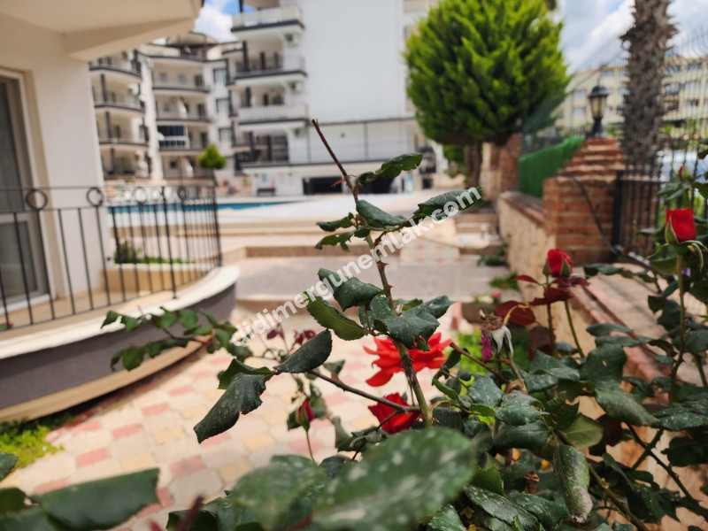 EFELER MAHALLE'SİNDE SİTE İÇERİSİNDE OLİMPİK HAVUZLU 2+1 FIRSAT DAİRE! 