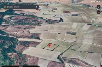 DijitalEmlak'tan Karacabey Çamlıca'da Satılık 2.800 m2 Yatırmlık Kıymetli Arazi.