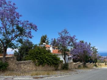 Girne Çatalköy Satılık Türk Koçanlı 3+2 Villa